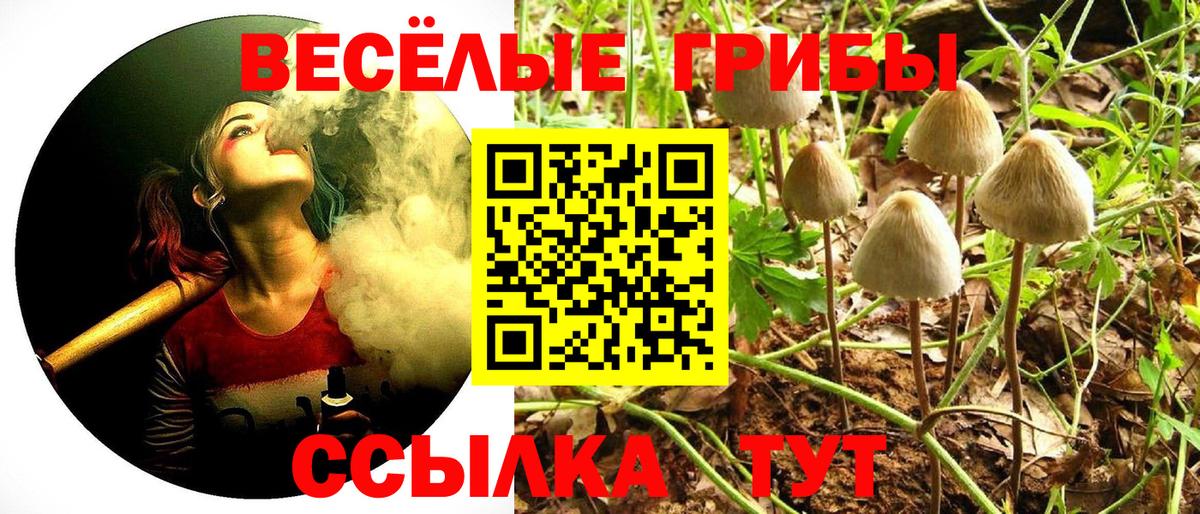 Галлюциногенные грибы MAGIC MUSHROOMS  как найти закладки  Заводоуковск  Вход с VPN 